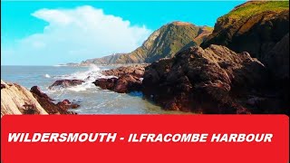 Low Tide Rock Scramble Wildersmouth to Ilfracombe Harbour Part 10 [upl. by Ecille113]