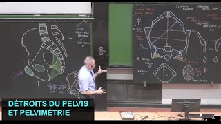 Anatomie des détroits du pelvis et pelvimétrie Pelvis 3 [upl. by Cecily]