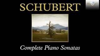 Schubert Complete Piano Sonatas [upl. by Radie]