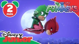 PJ Masks SuperPigiamini  Allenamento con i PJ Masks  Disney Junior Italia [upl. by Trever]