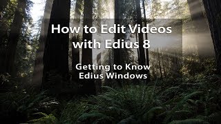 Edius 8 Tutorials  Lesson 2 Getting to Know Edius Windows [upl. by Aviv]