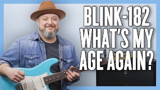 Blink182 Whats My Age Again Guitar Lesson  Tutorial [upl. by Mauceri]