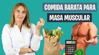 ALIMENTOS BARATOS para AUMENTAR MASA MUSCULAR  Dieta para aumentar músculo  Nutrición deportiva [upl. by Anoyek898]