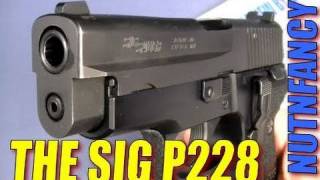 2017 Sig P228 Review Nutnfancy [upl. by Jamin]