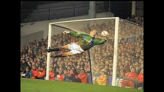 PETER SCHMEICHEL  BEST SAVES [upl. by Nyluqcaj976]