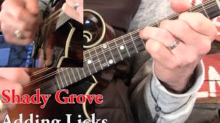 Shady Grove on Mandolin Lesson [upl. by Aysahc457]