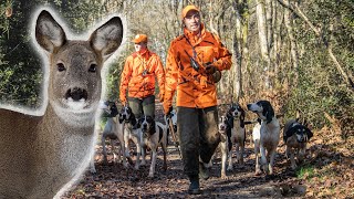 Chasse du Chevreuil au Chien Courant  ChasserCuisinerManger [upl. by Sedruol992]