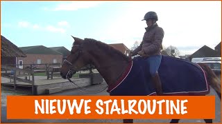 Mijn nieuwe routine op stal  PaardenpraatTV [upl. by Yllen]