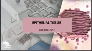 Epithelial tissue  Histology 1  Lecture 3 revision [upl. by Trixie]