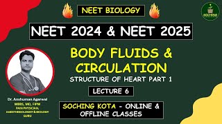 Body Fluids amp Circulation Part 6  Structure Of Heart  NEET Biology  Complete NCERT  Dr Anshuman [upl. by Ayetal]