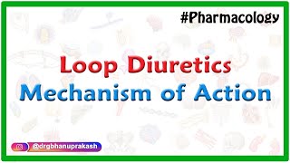 Loop diuretics Mechanism of action  Dr Mahesh [upl. by Claudius31]