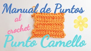 Manual de Puntos Punto Camello al Crochet [upl. by Gnat839]