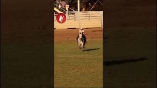 barrel racing oooo😍👌🏼🛢️ horse barrelracing [upl. by Asiilanna2]