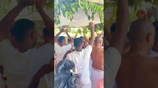 volaga dance Coorg arebhase traditional hariseve dance [upl. by Standice]