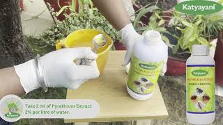 How to Use Katyayani Pyrethrin Insecticide   Organic Farming  Agriculture fyp insecticide [upl. by Ayoj]