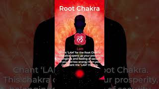 Root Chakra Cleansing  Day 1 Chakra Cleansing Meditation  LAM Chant [upl. by Arodnahs832]