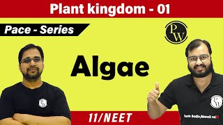 Plant Kingdom 01  Algae  Class 11  CBSE  NCERT  NEET  PACE SERIES [upl. by Nonnad902]