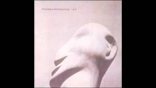 Roedelius  Übern Fluss [upl. by Pembrook]