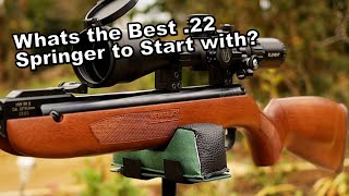 Weihrauch HW99S  Best 22 Inexpensive Beginner Airgun  IMO [upl. by Edmond]