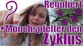 Reguliert Mönchspfeffer den Zyklus [upl. by Dominus40]