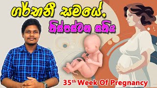 Pregnancy 35th Week  Sinhala Medical Review  අම්මයි බබයි [upl. by Enogitna]