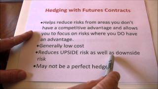 Futures Hedging vs Speculating [upl. by Lazare468]