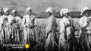 The Last Ship to Bring Enslaved Africans to America Arrived in 1860  Smithsonian Channel [upl. by Aicatan832]