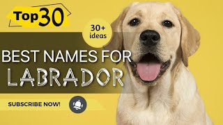 Top 30 Best Names For Labrador । Dog Names । Pets Vlogger [upl. by Rozamond]