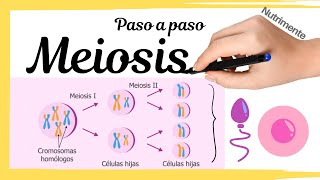 La célula clasificación por estructuratamañoreproducciónTIPOS DE CÉLULAS ¿Qué es una célula 2021 [upl. by Sancha350]