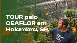 HOLAMBRA e CEAFLOR um TOUR pelo CEAFLOR um mundo de plantas [upl. by Emelina]