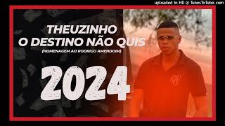 THEUZINHO – O DESTINO NÃO QUIS HOMENAGEM AO RODRIGO AMENDOIM [upl. by Nonek]