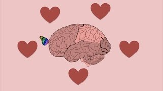 Neurociencias del amor y la atracción [upl. by Ilaire]