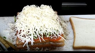 Best Veg Cheese Grill Sandwich in India  Mumbai Street Food Recipe [upl. by Macdonald]