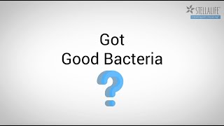 Got Good Bacteria [upl. by Haniraz38]