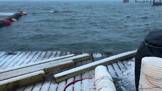 RAW VIDEO Snow and Wind in Portland ME [upl. by Katee]