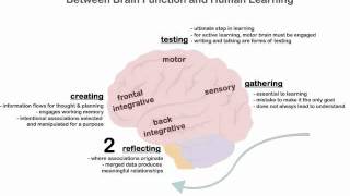 Zulls Model of How the Brain Learns [upl. by Nolyarb]