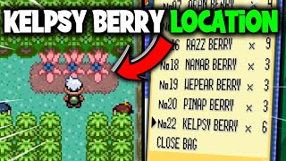 HOW TO GET THE KELPSY BERRIES ON POKEMON EMERALD [upl. by Erlina778]