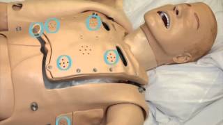 Lung Assessment on SimMan [upl. by Adlanor]