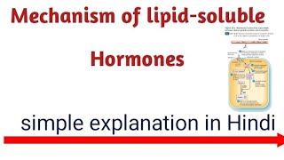 Action of lipidsoluble Hormones Endocrine system part 03  pharmacy [upl. by Llyrad]