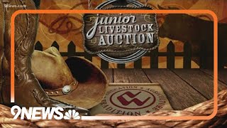 2023 National Western Junior Livestock Auction [upl. by Rothwell]