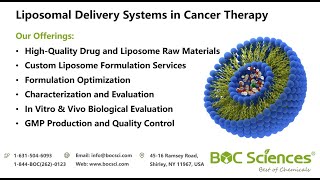 Liposomal Delivery System in Cancer Therapy  Liposomes Formulation [upl. by Ahsiugal390]