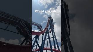 Would you ride SheiKra is a 200 foot vertical dive coaster located at Busch Gardens Tampa Florida [upl. by Toshiko522]