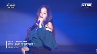 🔥 MOMOLAND  CANT NOBODY 2NE1  모모랜드 LIVE IN DUBAI Concert 2019 [upl. by Redliw]