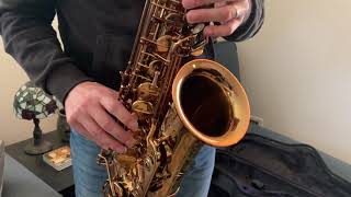 Ishimori Woodstone Alto Saxophone Video Demo [upl. by Morena]