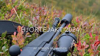 Hjortejakt 2024 vestland [upl. by Sorodoeht]