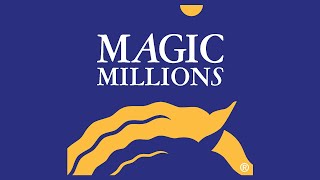 2024 Magic Millions Gold Coast Yearling Sale Day 3 [upl. by Capps]