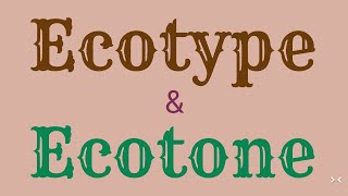 Ecotype amp Ecotone [upl. by Aretha522]