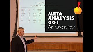 MetaAnalysis 001 [upl. by Katerina]