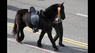 With riderless horse in Rose Parade Riverside County Sheriff’s Department [upl. by Streetman]