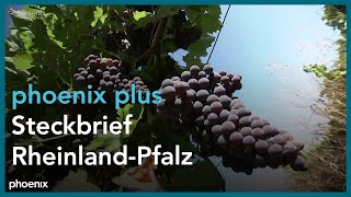 phoenix plus Steckbrief RheinlandPfalz [upl. by Stanzel]